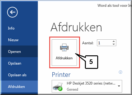 MS Word MS Word
